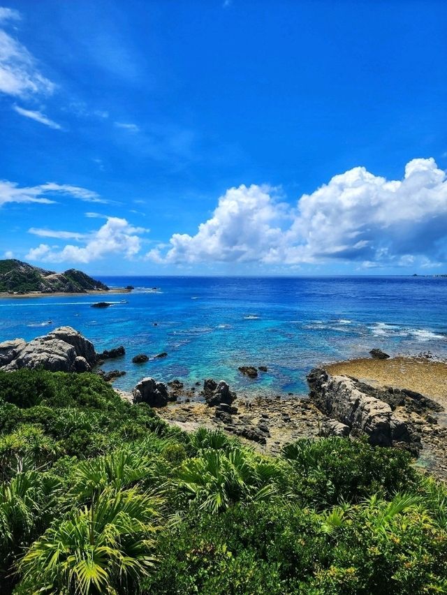 🏝渡嘉敷島深度遊 • 沉浸慶良間藍 • 海灘・自然・賞鯨全攻略🌊