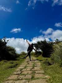 Escape to YangMingShan (QingTiangGang & LengShuiKeng) 🍃🌳