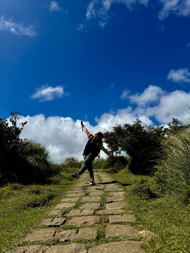Escape to YangMingShan (QingTiangGang & LengShuiKeng) 🍃🌳