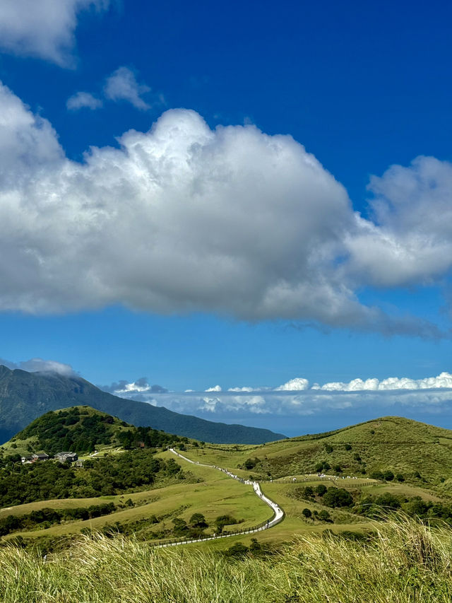 Escape to YangMingShan (QingTiangGang & LengShuiKeng) 🍃🌳