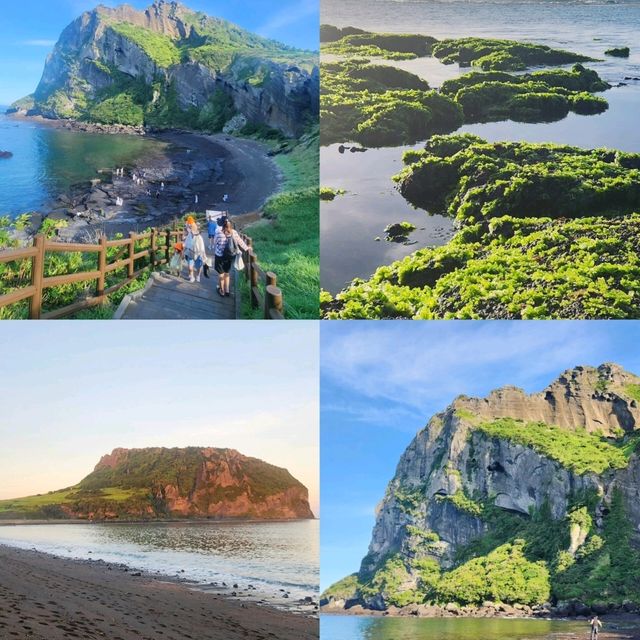 Seaside Escape: East Jeju 🌊