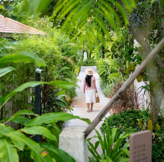 Dewa Phuket Resort & Villas 🌊 Dewa Phuket Resort & Villas 🌊