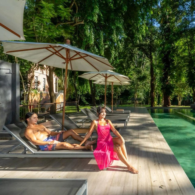 ที่พักเชียงใหม่ท่ามกลางสวนดอกไม้และขุนเขา 🌳 ที่พักเชียงใหม่ท่ามกลางสวนดอกไม้และขุนเขา 🌳