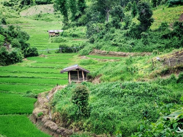 เที่ยวดอย แม่ตื่น เชียงใหม่