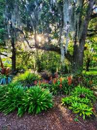 🌸 “Harry P. Leu Gardens – Orlando’s Blooming Paradise!”
