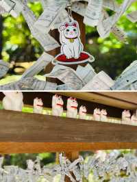 【世田谷】🐈幸運の招き猫だらけ✨