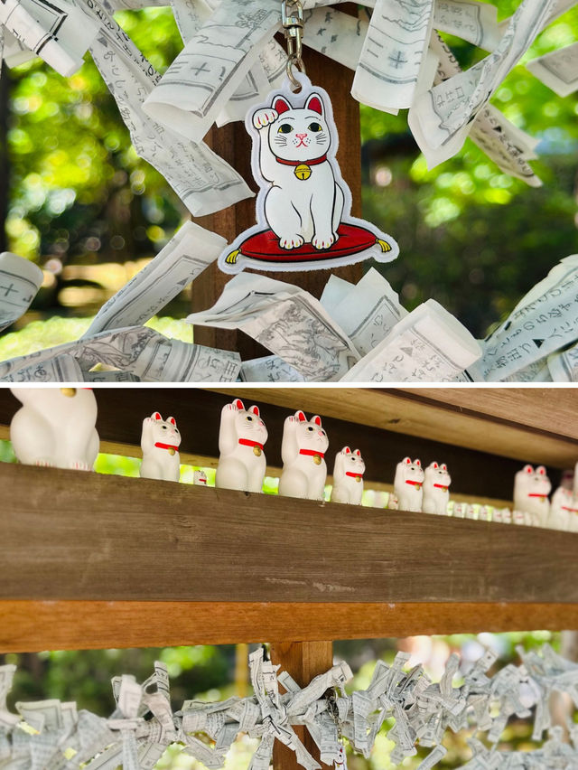 【世田谷】🐈幸運の招き猫だらけ✨