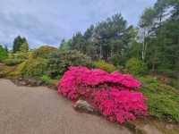 Royal Botanic Garden Edinburgh