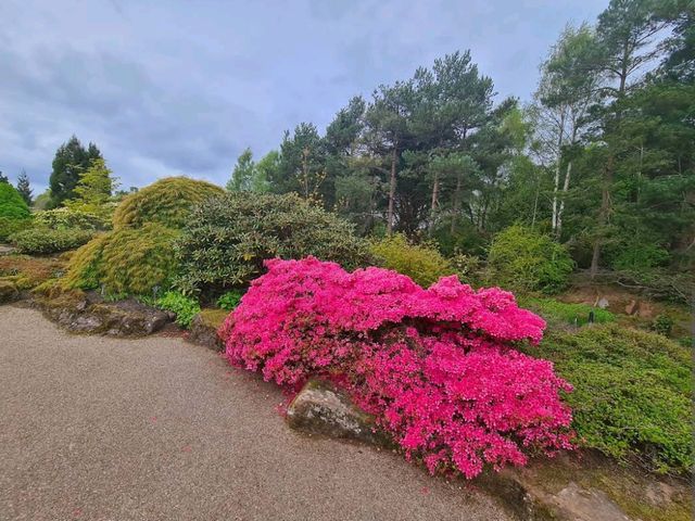 Royal Botanic Garden Edinburgh