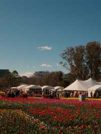 Canberra Floriade 花卉節 2025｜免費入場打卡夢幻花海