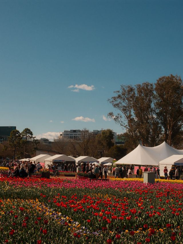 Canberra Floriade 花卉節 2025｜免費入場打卡夢幻花海