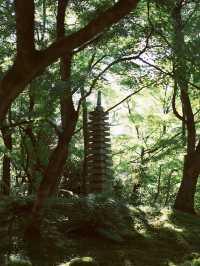 🏯 Kyoto's Secret: Eikando Temple - Where Autumn Bleeds Crimson & Beauty Becomes a Spiritual Quest!