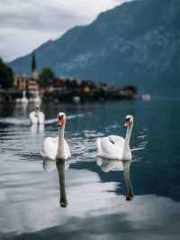 Incredible Scenary