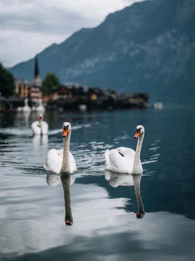 Incredible Scenary