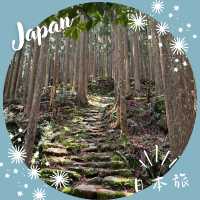 【和歌山】深い森に包まれる道、小雲取越🌳
