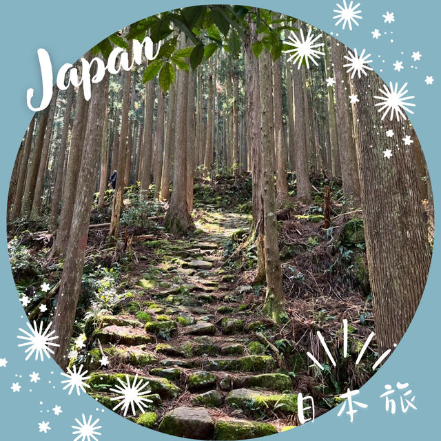 【和歌山】深い森に包まれる道、小雲取越🌳 【和歌山】深い森に包まれる道、小雲取越🌳