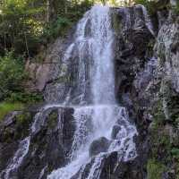 Cascade du Hohwald – The Hidden Gem of the Alsatian Forests