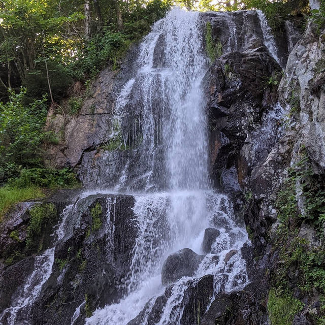 Cascade du Hohwald – The Hidden Gem of the Alsatian Forests