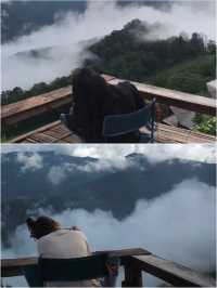 บ้านซุกกิ๊ก : เติมแมวกลางทะเลหมอกห้วยกุ๊บกั๊บ