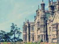 Solo Sanctuary: Finding Peace & Dragons at Margam Park
