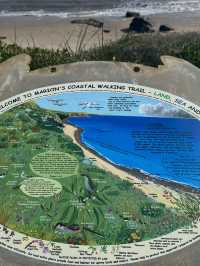 【オーストラリア・南オーストラリア】海と地質の不思議を体感「Hallett Cove Boardwalk」🌊🪨