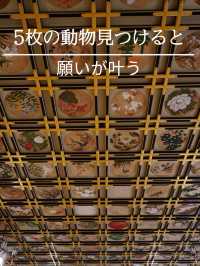 5枚の動物絵をみつけると願いが叶うと言われています