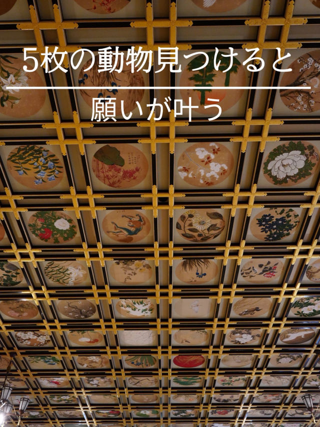 5枚の動物絵をみつけると願いが叶うと言われています