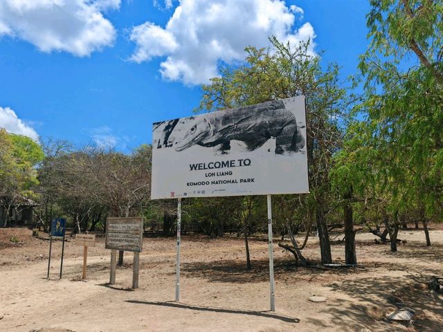 Komodo Wonders🌿 One Day Trip