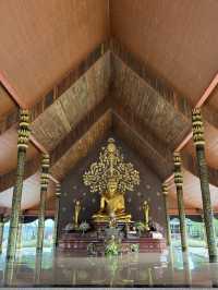 ชมต้นไม้เรืองแสง สายชิลต้องมา วัดสิรินธรวรารามภูพร้