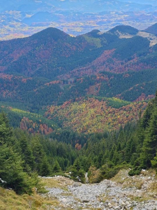 Făgăraș Mountains