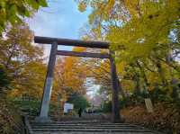 圓山公園秋日散步 北海道神宮