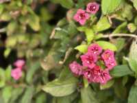 A Gentle Pause at Marunouchi Brick Square 🌿