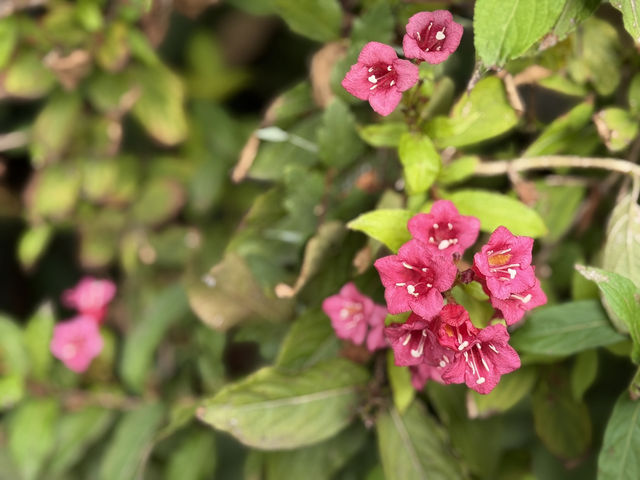 A Gentle Pause at Marunouchi Brick Square 🌿