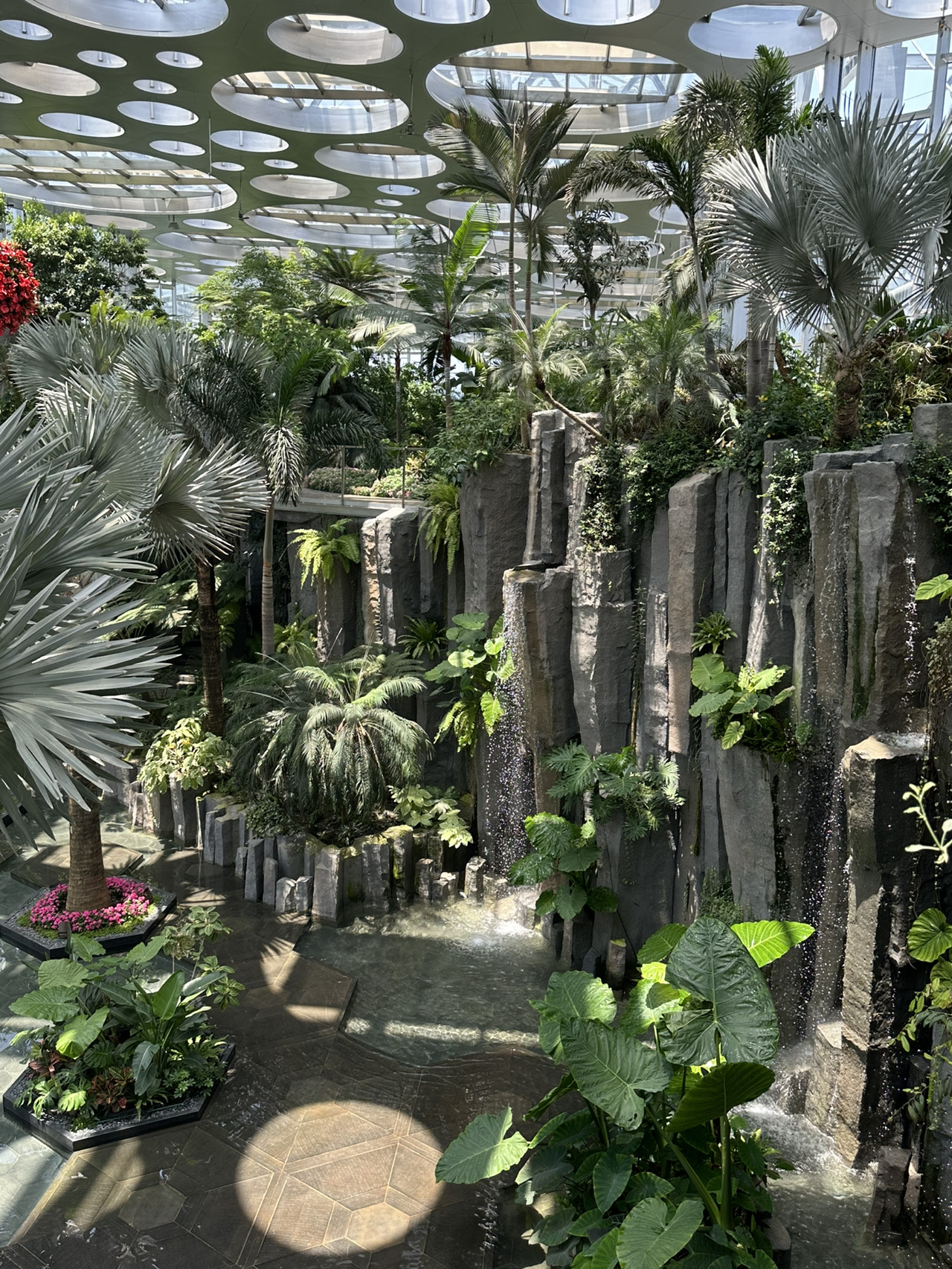 Taman Dalam Ruangan Terbesar di Asia!
Tempat yang Wajib Dikunjungi di Shanghai

📍 Shanghai Expo Cultural Park · Botanical Dome
💡 Sorotan: Oasis Perkotaan × Air Terjun Dalam Ruangan × Zona Tanaman Internasional
🎟️ Tiket Pelajar: Sekitar ¥50
Mencari oasis hijau di tengah kota yang sibuk?
Shanghai Botanical Dome pasti akan menjadi kejutan yang menyenangkan! ✨
Dulunya bagian dari Taman Expo Shanghai 2010,
kini telah berubah menjadi rumah kaca kaca seperti negeri dongeng 🌿.
Saat Anda melangkah masuk, Anda akan terpesona oleh pemandangannya—
atap kaca yang menjulang tinggi membiarkan cahaya lembut masuk,
dengan air terjun dalam ruangan yang spektakuler 💧 di tengahnya,
kabut air melayang di udara, berkilauan saat sinar matahari menembusnya.
Tanpa efek khusus, ini adalah "hutan impian" nyata 🍃✨
Taman ini dibagi menjadi beberapa zona bertema,
termasuk hutan hujan tropis, tanaman gurun, taman beriklim sedang, dan lainnya,
masing-masing dengan aroma dan warna yang unik,
seolah-olah bepergian melalui lanskap alami dari berbagai negara 🌍🌸.
Tata letaknya dirancang dengan cermat,
dengan jalur berliku yang menawarkan perubahan cahaya dan bayangan dari berbagai sudut.
Seluruh ruang ini sempurna untuk fotografi, relaksasi, atau berjalan santai～📸💚
⚠️ Sedikit pengingat:
Lokasinya agak terpencil, tetapi transportasi sebenarnya sangat nyaman 🚇,
hanya 10 menit berjalan kaki setelah naik kereta bawah tanah.