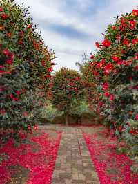 ์ ์ฃผ ๋๋ฐฑ ํ์๋ก ๊ฐ์ผํ๋ ๊ณณ๐บ