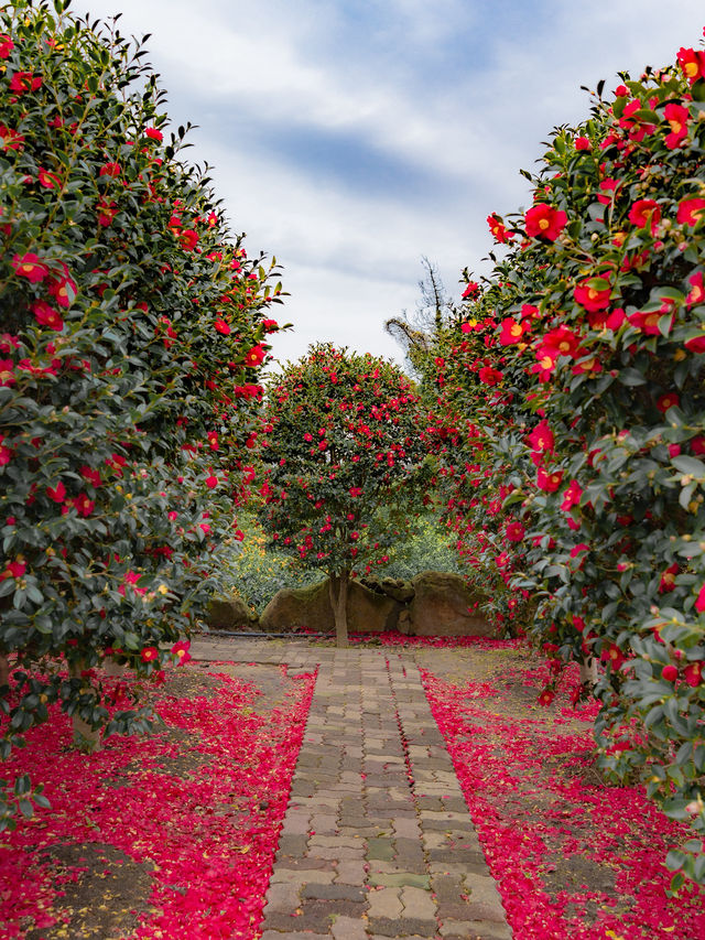 ์ ์ฃผ ๋๋ฐฑ ํ์๋ก ๊ฐ์ผํ๋ ๊ณณ๐บ ์ ์ฃผ ๋๋ฐฑ ํ์๋ก ๊ฐ์ผํ๋ ๊ณณ๐บ