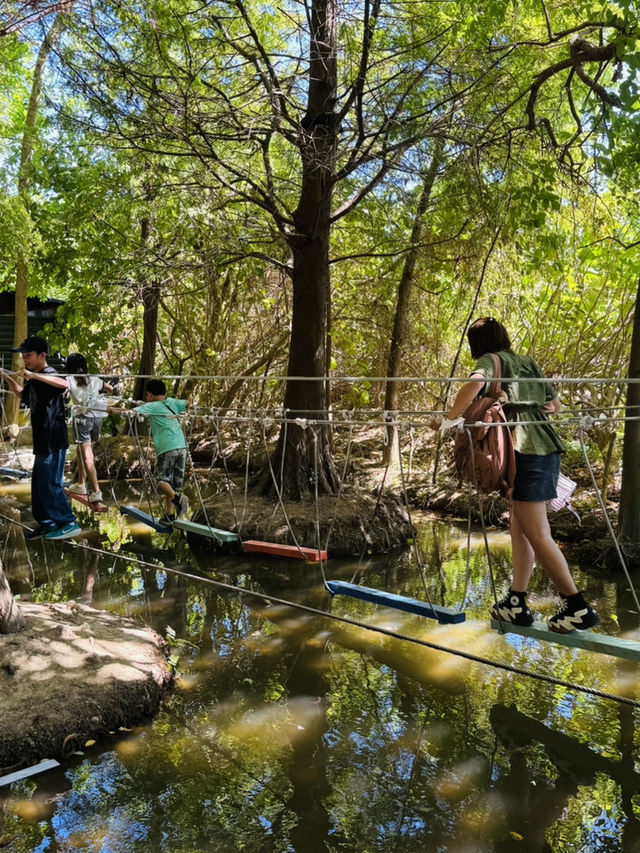 桃園 野趣森林
