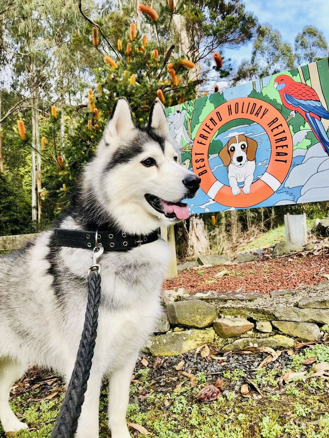 Best Friend Holiday Retreat：在 Tarra Valley 遇见最简单的快乐