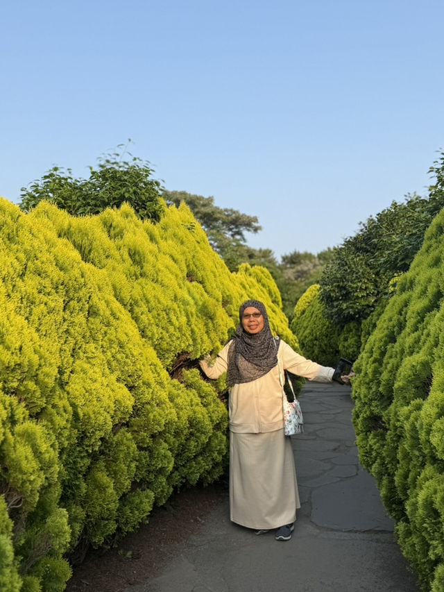 Jeju Garden Glow🌸 Jeju Garden Glow🌸