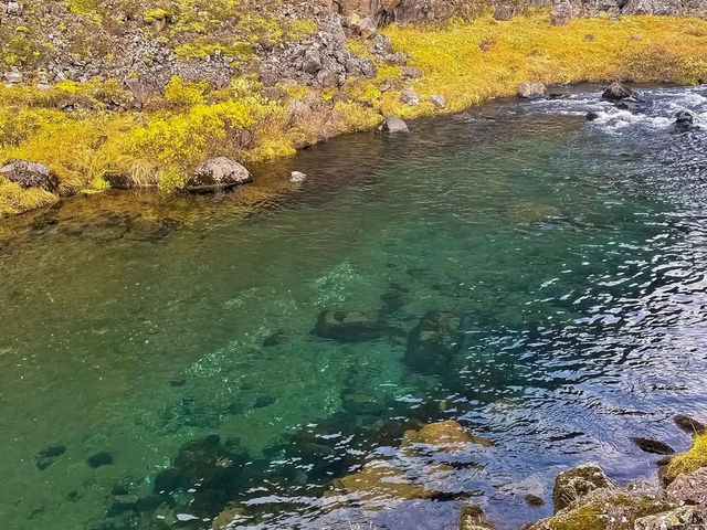 冰島黃金圈絕美打卡!辛格韋德利國家公園秋日探索🌄 冰島黃金圈絕美打卡!辛格韋德利國家公園秋日探索🌄