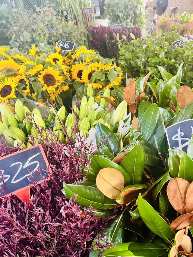 Manly: Sydney’s Chill Spot🌊🇦🇺