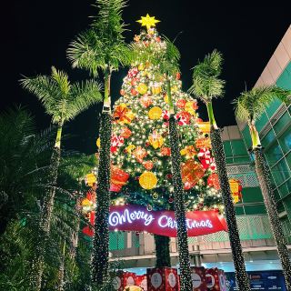 A private café under the large Christmas lights