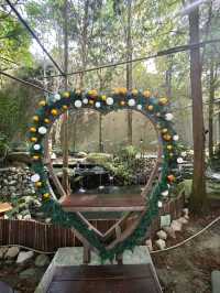 🌲落羽松秘境中的蔬食饗宴#🌿 澄石享自在-臺中市北屯區