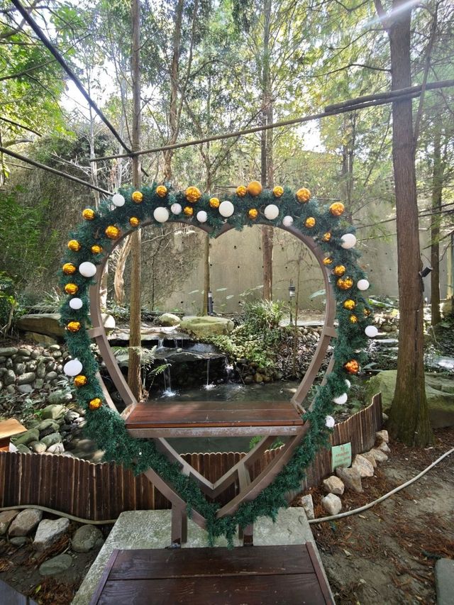 🌲落羽松秘境中的蔬食饗宴#🌿 澄石享自在-臺中市北屯區