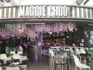 🪭東方風味🪭