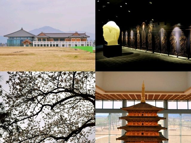 📍경주 황룡사지 역사문화관