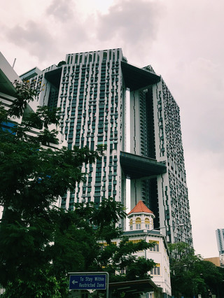 Views Above the City: Pinnacle @ Duxton Skybridge