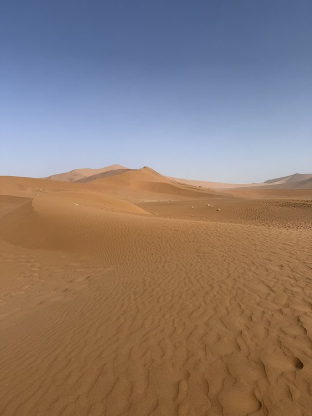 【世界最古の砂漠】ナミブ砂漠🇳🇦