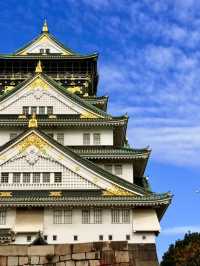 大阪｜連兩年造訪大阪城 看秋日銀杏與楓紅的別樣美感