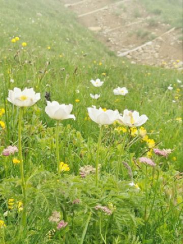 village of Sörenberg